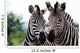 Zebra 015 Wall Mural