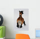 Running horse Wall Mural
