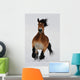 Running horse Wall Mural