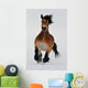 Running horse Wall Mural