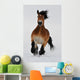 Running horse Wall Mural