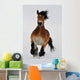 Running horse Wall Mural