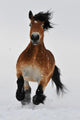 Running horse Wall Mural