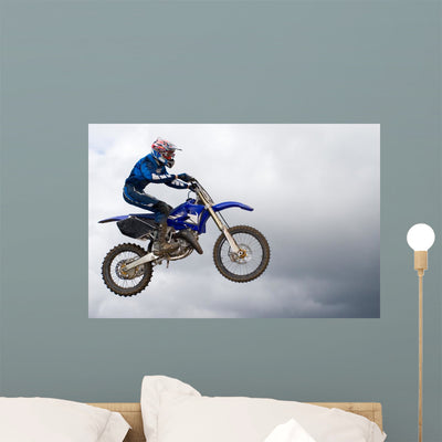 Extreme Sport Wall Mural shown on a wall