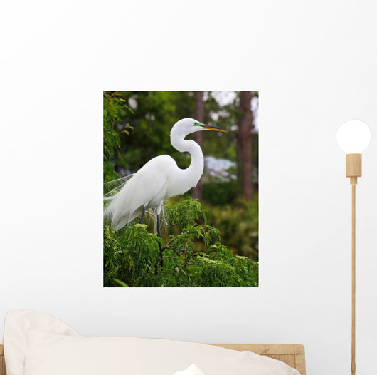Tropical Bird Park Florida Wall Mural