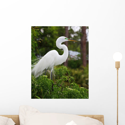 Tropical Bird Park Florida Wall Mural