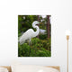Tropical Bird Park Florida Wall Mural