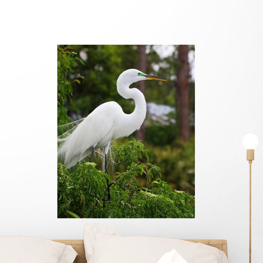 Tropical Bird Park Florida Wall Mural
