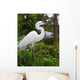 Tropical Bird Park Florida Wall Mural