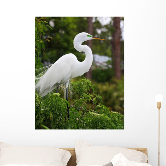 Tropical Bird Park Florida Wall Mural