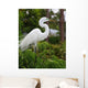 Tropical Bird Park Florida Wall Mural