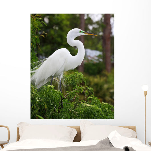 Tropical Bird Park Florida Wall Mural