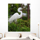 Tropical Bird Park Florida Wall Mural