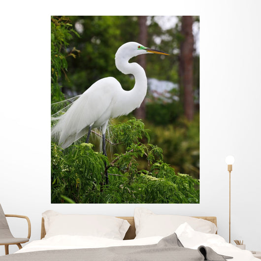 Tropical Bird Park Florida Wall Mural