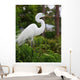 Tropical Bird Park Florida Wall Mural