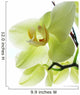 Orchid pale yellow Wall Decal