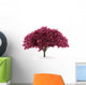 cherry tree isolated on white background with clipping path Wall Decal