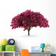 cherry tree isolated on white background with clipping path Wall Decal