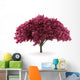 cherry tree isolated on white background with clipping path Wall Decal