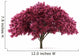 cherry tree isolated on white background with clipping path Wall Decal