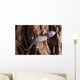 Baby Tokay Gecko Tree Wall Mural