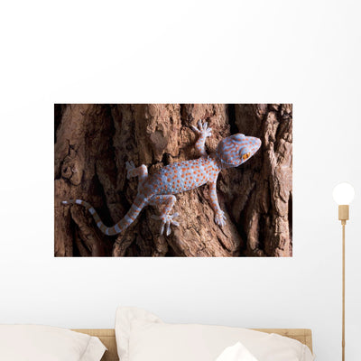 Baby Tokay Gecko Tree Wall Mural shown on a wall