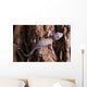 Baby Tokay Gecko Tree Wall Mural