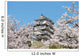 Cherry blossoms at Himeji castle Wall Mural