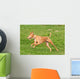 Greyhounds Wall Decal