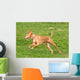 Greyhounds Wall Decal