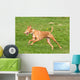 Greyhounds Wall Decal