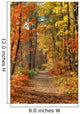 Fall Wall Mural