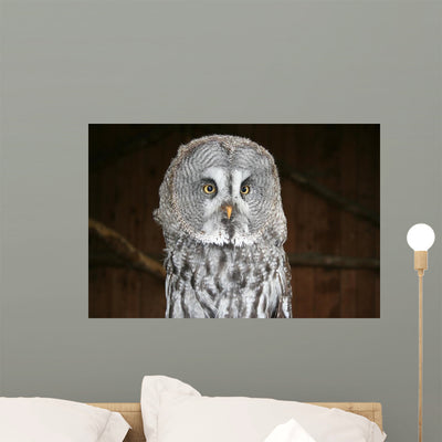 Owl Wall Mural shown on a wall