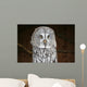 OWL Wall Mural