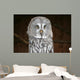 OWL Wall Mural