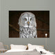 OWL Wall Mural