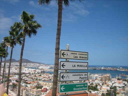 Las Palmas Wall Decal Design 2