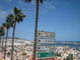 Las Palmas Wall Decal Design 2