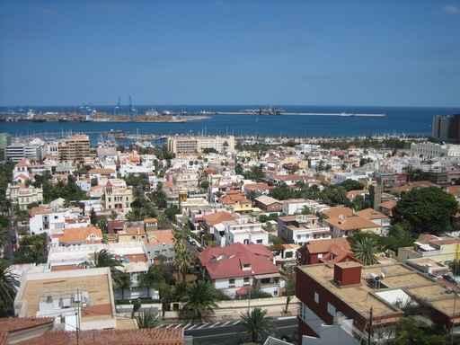 Las Palmas Wall Decal Design 1