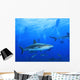 Shark With Scuba Divers Silhouetted in Background Wall Mural