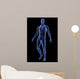 X-ray Illustration Male Human Wall Mural