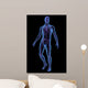 X-ray Illustration Male Human Wall Mural