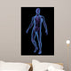 X-ray Illustration Male Human Wall Mural