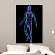 X-ray Illustration Male Human Wall Mural