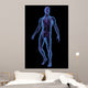 X-ray Illustration Male Human Wall Mural