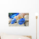 Sun Glasses Wall Decal