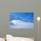 Skiing in Perfekt Powder Snow Wall Mural