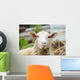 Funny Sheep Wall Decal