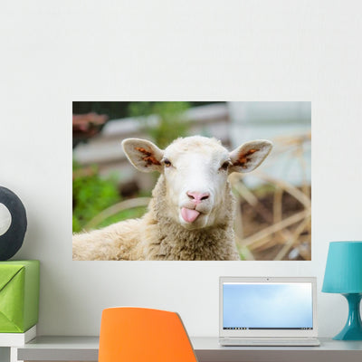 Funny Sheep Wall Decal shown on a wall