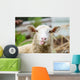 Funny Sheep Wall Decal